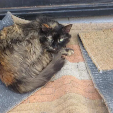 Lontani Da Casa 住宿加早餐酒店 3*